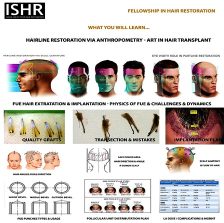 Fue Hair Extraction