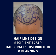 web page 12 PNG